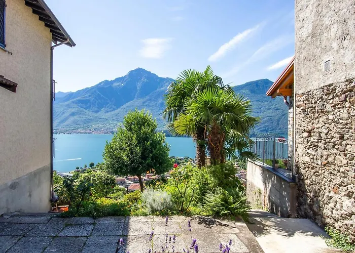 Martino - Dma321 By Interhome