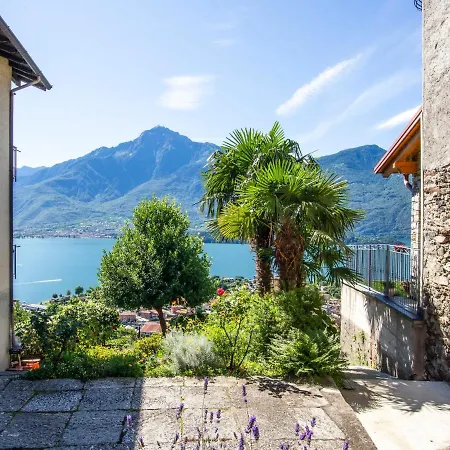 Martino - Dma321 By Interhome